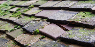 Llandegveth roof repair costs